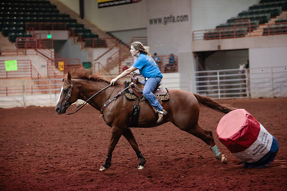 www.ngaphoto.com 2015 Georgia Federation of Saddle Clubs Championship Horse Show