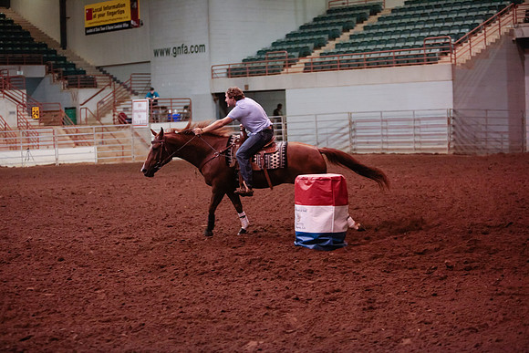 www.ngaphoto.com 2015 Georgia Federation of Saddle Clubs Championship Horse Show