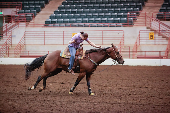 www.ngaphoto.com 2015 Georgia Federation of Saddle Clubs Championship Horse Show