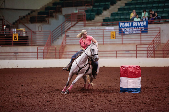 www.ngaphoto.com 2015 Georgia Federation of Saddle Clubs Championship Horse Show