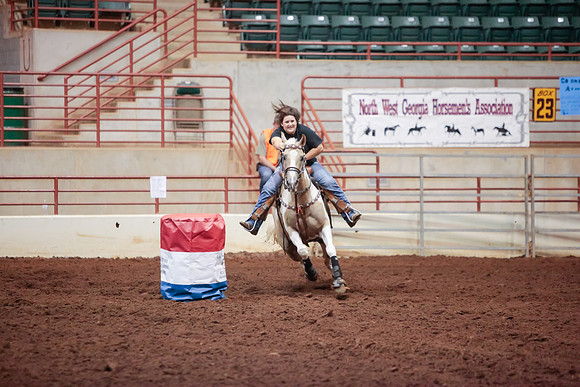 www.ngaphoto.com 2015 Georgia Federation of Saddle Clubs Championship Horse Show
