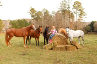 #2 Brown Horse Sample