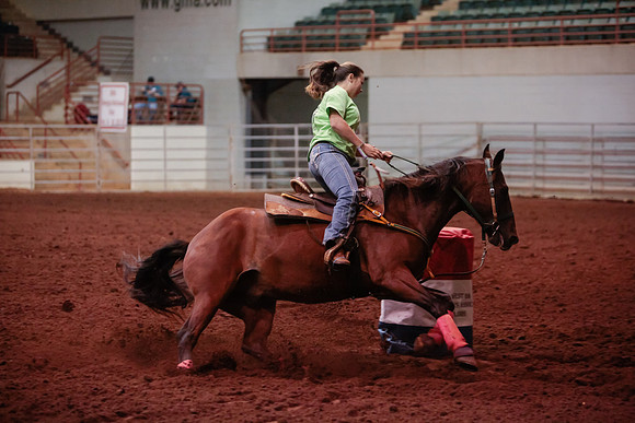 www.ngaphoto.com 2015 Georgia Federation of Saddle Clubs Championship Horse Show