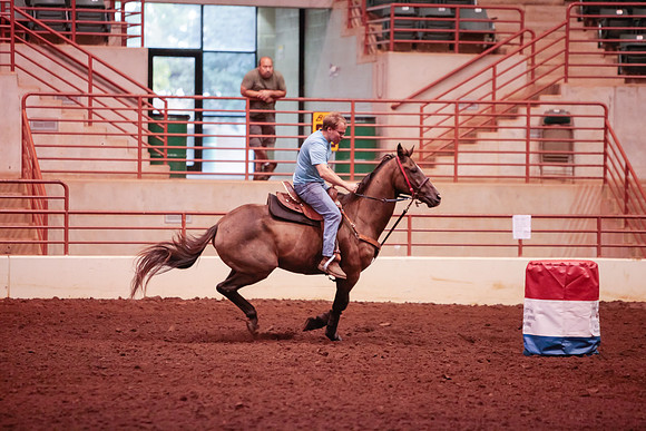 www.ngaphoto.com 2015 Georgia Federation of Saddle Clubs Championship Horse Show