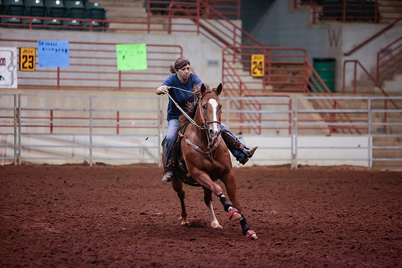 www.ngaphoto.com 2015 Georgia Federation of Saddle Clubs Championship Horse Show