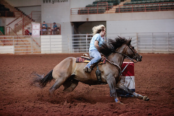 www.ngaphoto.com 2015 Georgia Federation of Saddle Clubs Championship Horse Show