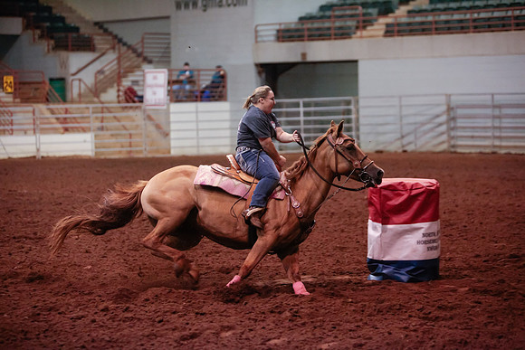 www.ngaphoto.com 2015 Georgia Federation of Saddle Clubs Championship Horse Show