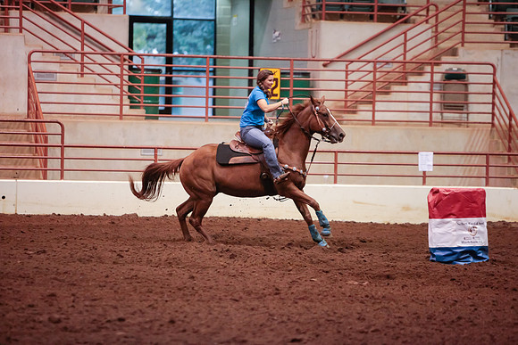 www.ngaphoto.com 2015 Georgia Federation of Saddle Clubs Championship Horse Show