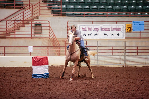 www.ngaphoto.com 2015 Georgia Federation of Saddle Clubs Championship Horse Show