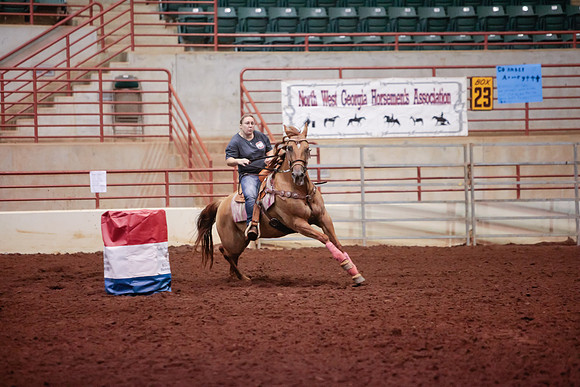 www.ngaphoto.com 2015 Georgia Federation of Saddle Clubs Championship Horse Show