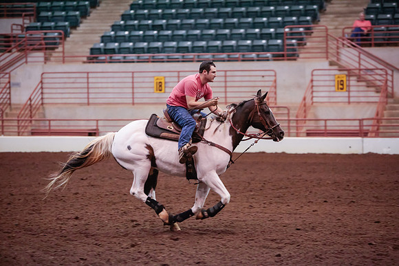 www.ngaphoto.com 2015 Georgia Federation of Saddle Clubs Championship Horse Show