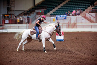 www.ngaphoto.com 2015 Georgia Federation of Saddle Clubs Championship Horse Show