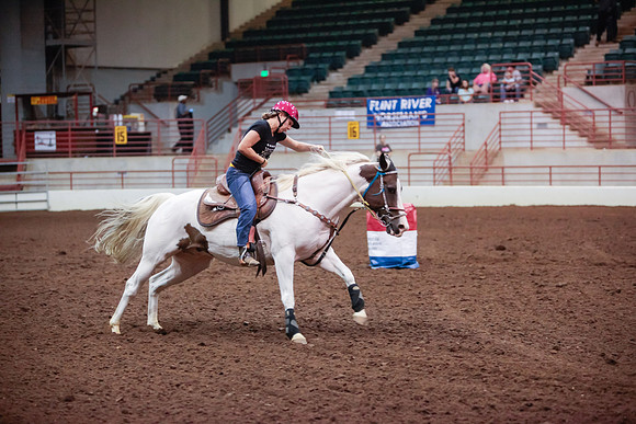 www.ngaphoto.com 2015 Georgia Federation of Saddle Clubs Championship Horse Show