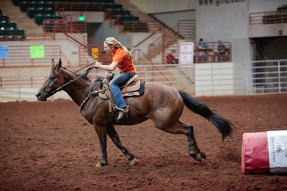 www.ngaphoto.com 2015 Georgia Federation of Saddle Clubs Championship Horse Show