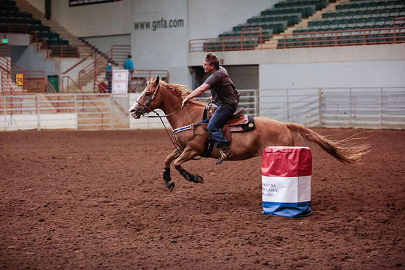 www.ngaphoto.com 2015 Georgia Federation of Saddle Clubs Championship Horse Show