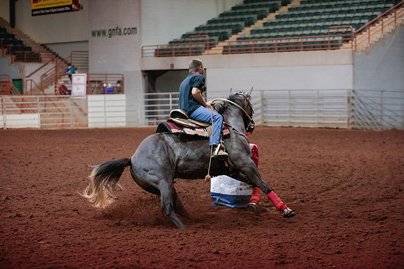 www.ngaphoto.com 2015 Georgia Federation of Saddle Clubs Championship Horse Show