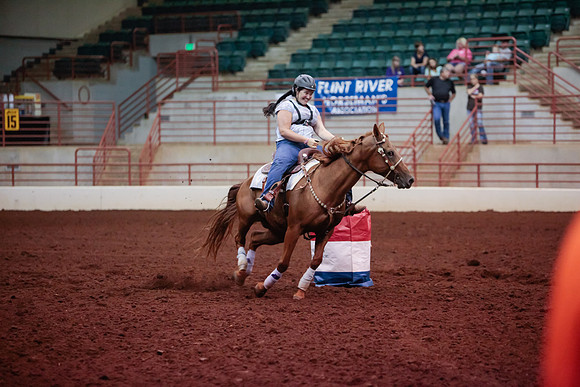 www.ngaphoto.com 2015 Georgia Federation of Saddle Clubs Championship Horse Show