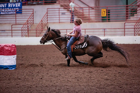 www.ngaphoto.com 2015 Georgia Federation of Saddle Clubs Championship Horse Show