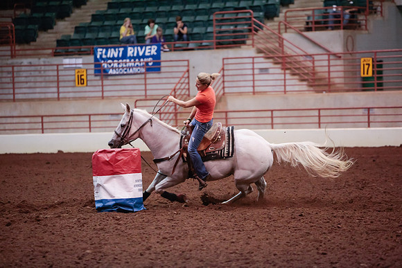 www.ngaphoto.com 2015 Georgia Federation of Saddle Clubs Championship Horse Show