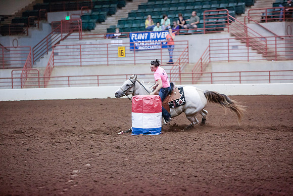 www.ngaphoto.com 2015 Georgia Federation of Saddle Clubs Championship Horse Show