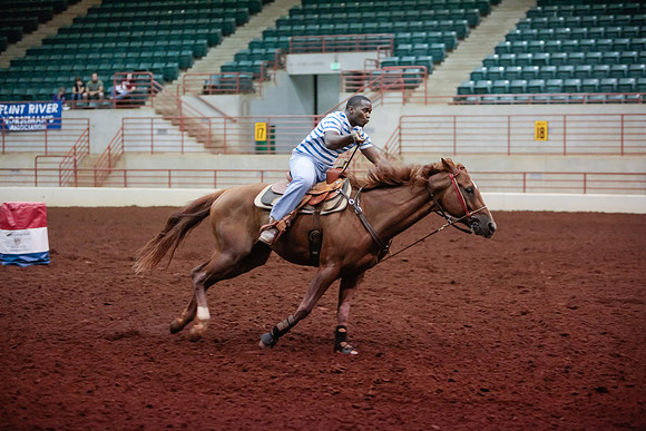 www.ngaphoto.com 2015 Georgia Federation of Saddle Clubs Championship Horse Show