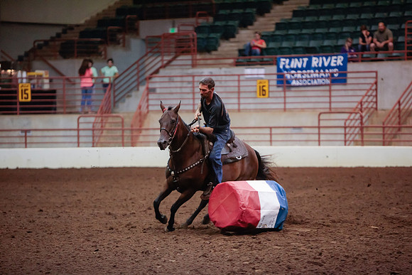 www.ngaphoto.com 2015 Georgia Federation of Saddle Clubs Championship Horse Show