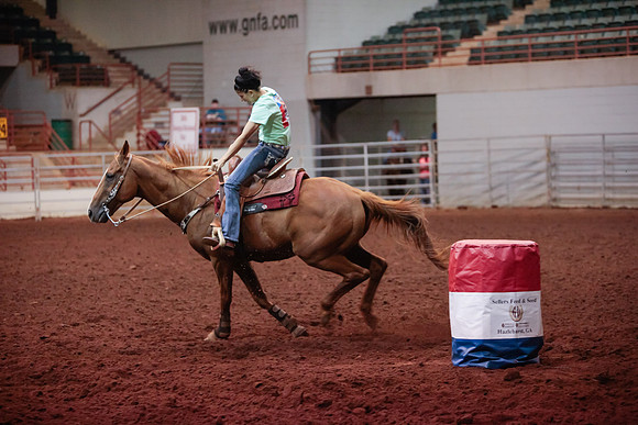 www.ngaphoto.com 2015 Georgia Federation of Saddle Clubs Championship Horse Show