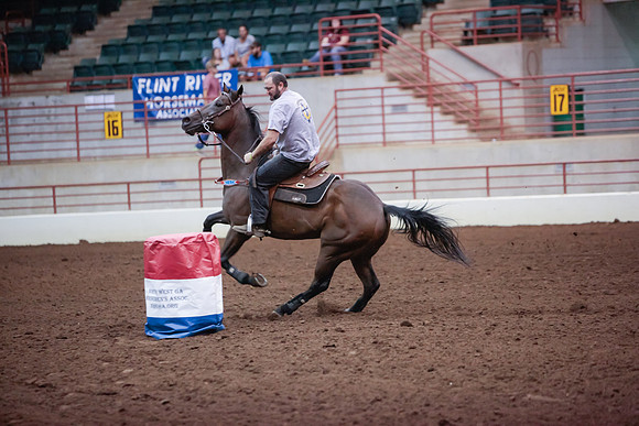 www.ngaphoto.com 2015 Georgia Federation of Saddle Clubs Championship Horse Show