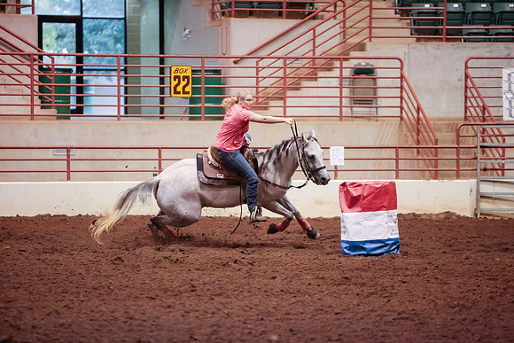 www.ngaphoto.com 2015 Georgia Federation of Saddle Clubs Championship Horse Show