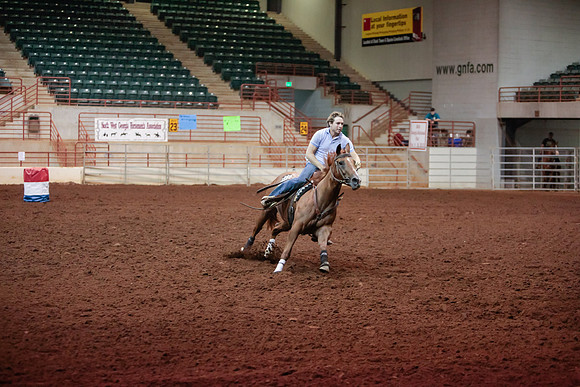 www.ngaphoto.com 2015 Georgia Federation of Saddle Clubs Championship Horse Show