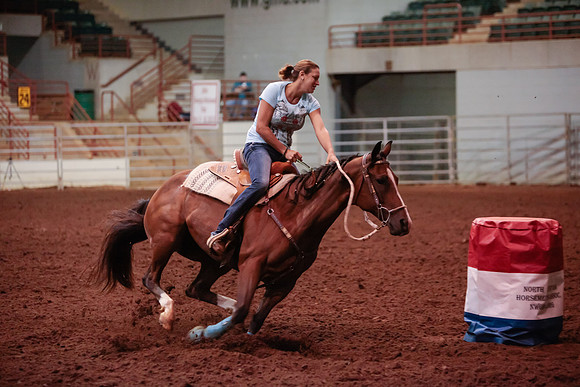 www.ngaphoto.com 2015 Georgia Federation of Saddle Clubs Championship Horse Show