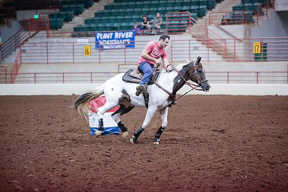 www.ngaphoto.com 2015 Georgia Federation of Saddle Clubs Championship Horse Show