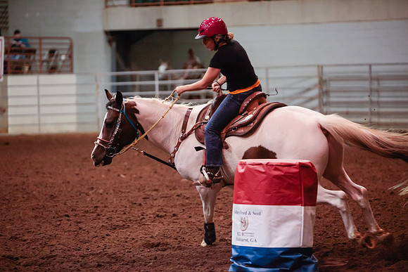 www.ngaphoto.com 2015 Georgia Federation of Saddle Clubs Championship Horse Show