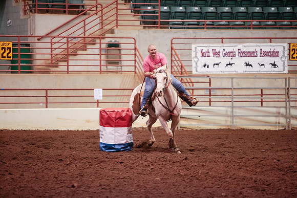 www.ngaphoto.com 2015 Georgia Federation of Saddle Clubs Championship Horse Show