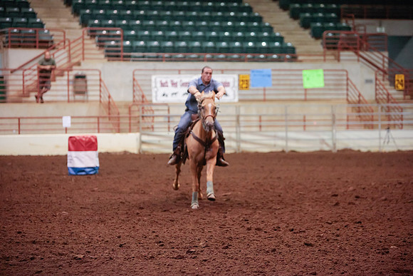 www.ngaphoto.com 2015 Georgia Federation of Saddle Clubs Championship Horse Show