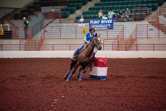 www.ngaphoto.com 2015 Georgia Federation of Saddle Clubs Championship Horse Show