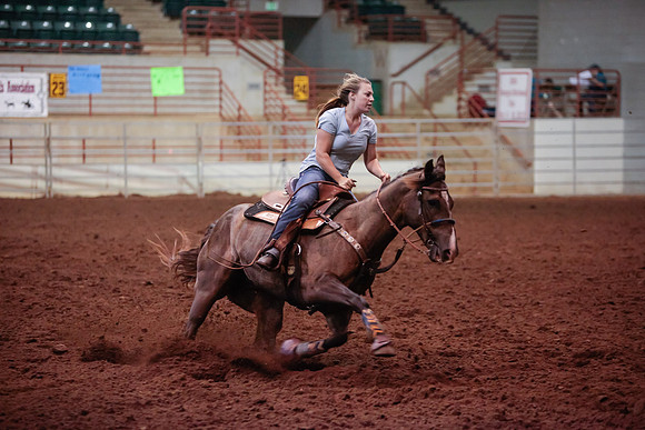 www.ngaphoto.com 2015 Georgia Federation of Saddle Clubs Championship Horse Show