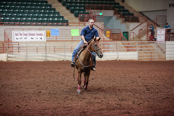 www.ngaphoto.com 2015 Georgia Federation of Saddle Clubs Championship Horse Show