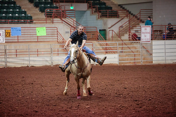 www.ngaphoto.com 2015 Georgia Federation of Saddle Clubs Championship Horse Show