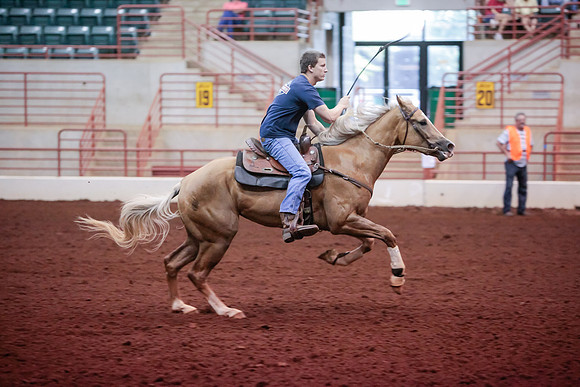 www.ngaphoto.com 2015 Georgia Federation of Saddle Clubs Championship Horse Show