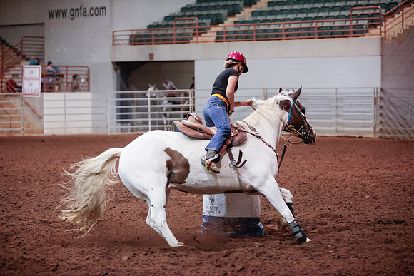 www.ngaphoto.com 2015 Georgia Federation of Saddle Clubs Championship Horse Show