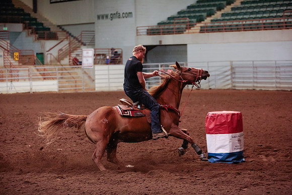 www.ngaphoto.com 2015 Georgia Federation of Saddle Clubs Championship Horse Show