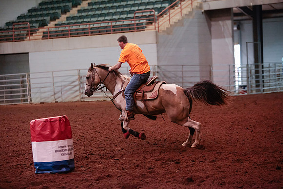 www.ngaphoto.com 2015 Georgia Federation of Saddle Clubs Championship Horse Show