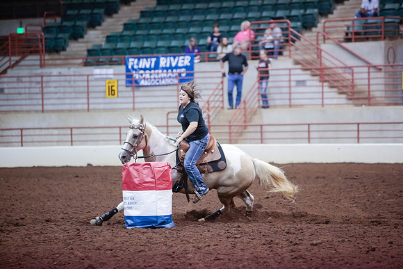 www.ngaphoto.com 2015 Georgia Federation of Saddle Clubs Championship Horse Show