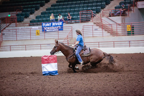 www.ngaphoto.com 2015 Georgia Federation of Saddle Clubs Championship Horse Show
