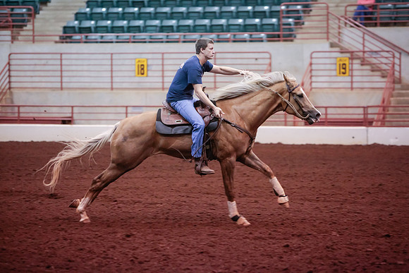 www.ngaphoto.com 2015 Georgia Federation of Saddle Clubs Championship Horse Show