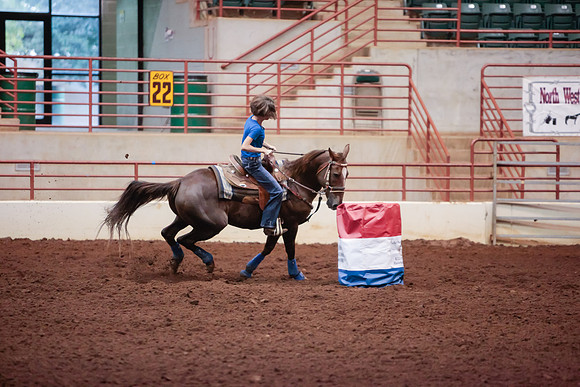 www.ngaphoto.com 2015 Georgia Federation of Saddle Clubs Championship Horse Show