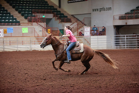 www.ngaphoto.com 2015 Georgia Federation of Saddle Clubs Championship Horse Show