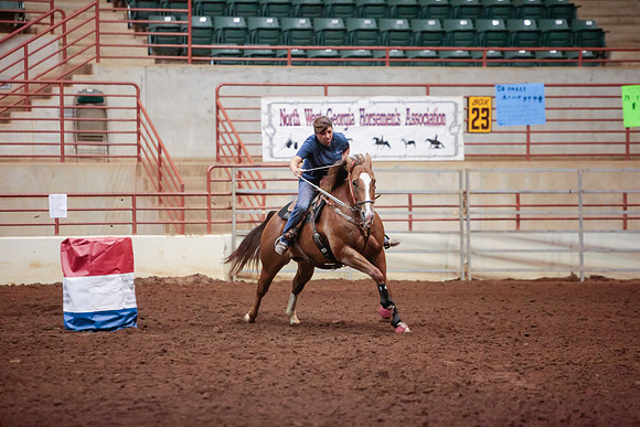 www.ngaphoto.com 2015 Georgia Federation of Saddle Clubs Championship Horse Show