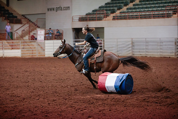 www.ngaphoto.com 2015 Georgia Federation of Saddle Clubs Championship Horse Show